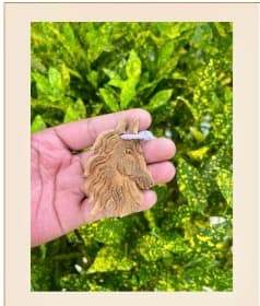 Mặt Dây Chuyền Vỏ Quế