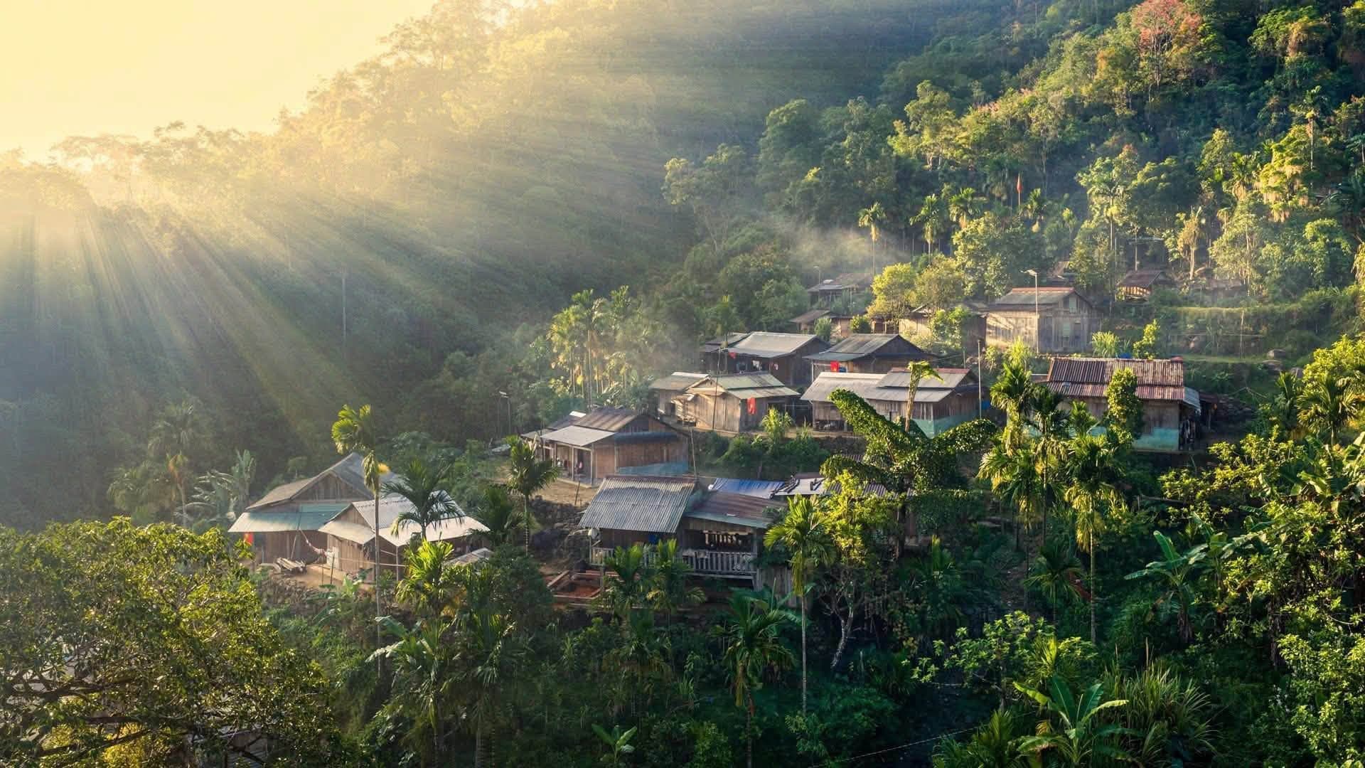 Bản làng đại ngàn Trà Leng — vùng quế